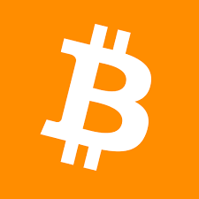 BitMine Pro X1